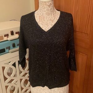 NWT Express Sparkly Sweater